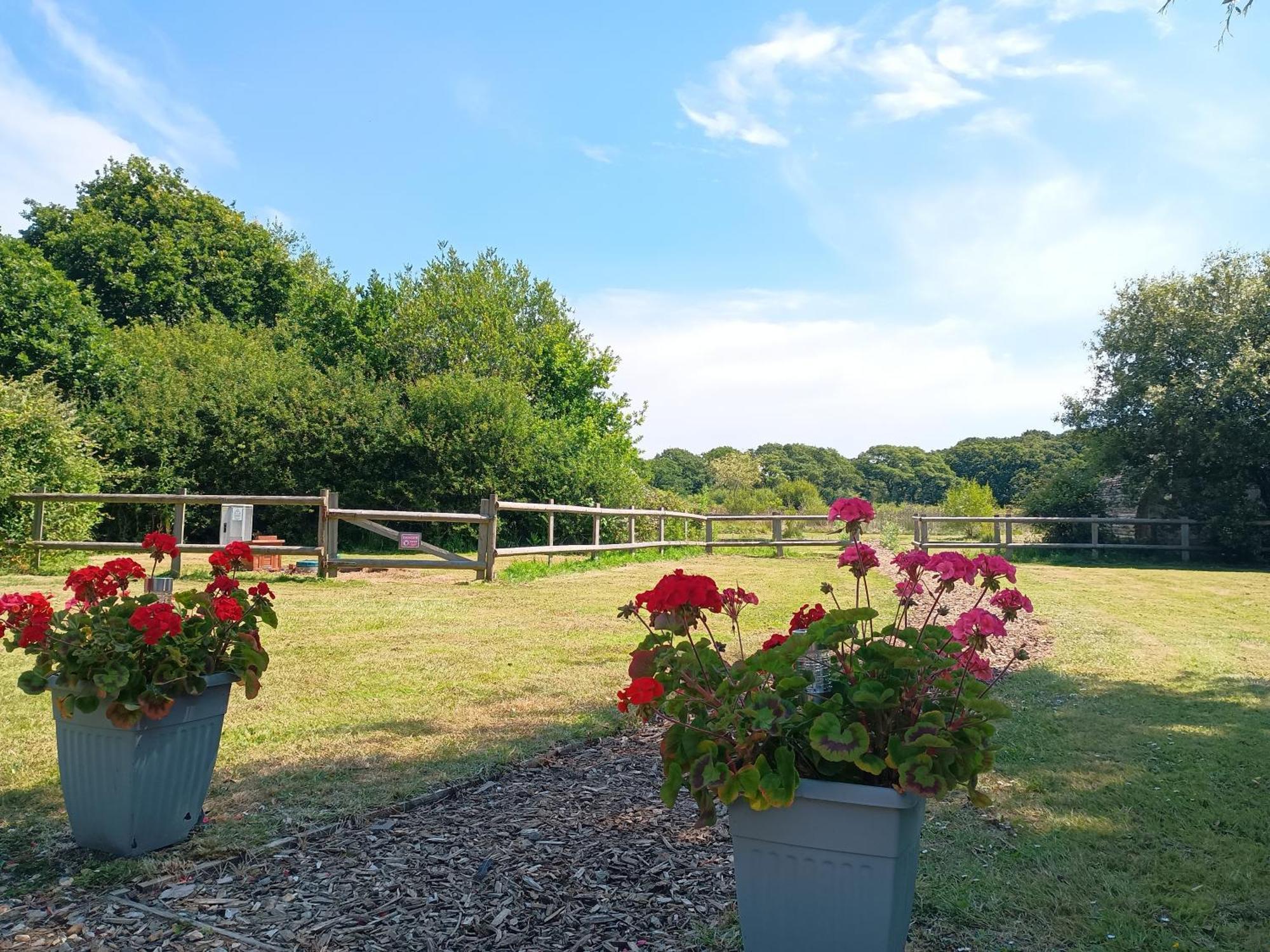 Cosy Cabins At Westfield Farm, Isle Of Wight Ярмут Екстер'єр фото